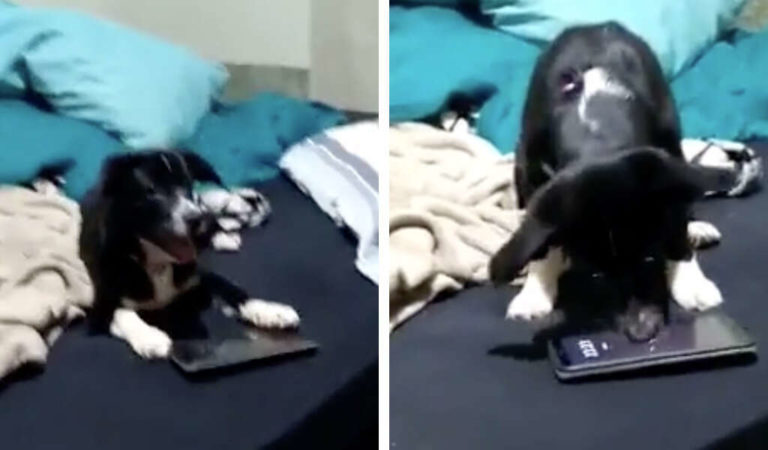 Guy Discovers With Surprise the Reason His Alarm No Longer Wakes Him Up in the Morning