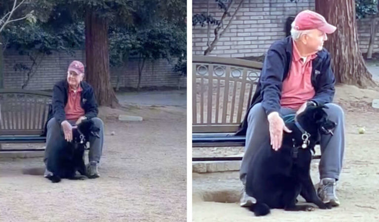 In The Park A Woman Discovers Her “Lost” Dog Cuddling With A Stranger